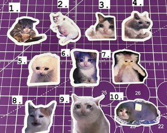 Sad Cat Meme Stickers , Crying Cat Meme Stickers , Meme Stickers , Cat Meme Stickers , Sad Cat Sticker , Cat Stickers , Meme Cat Sticker