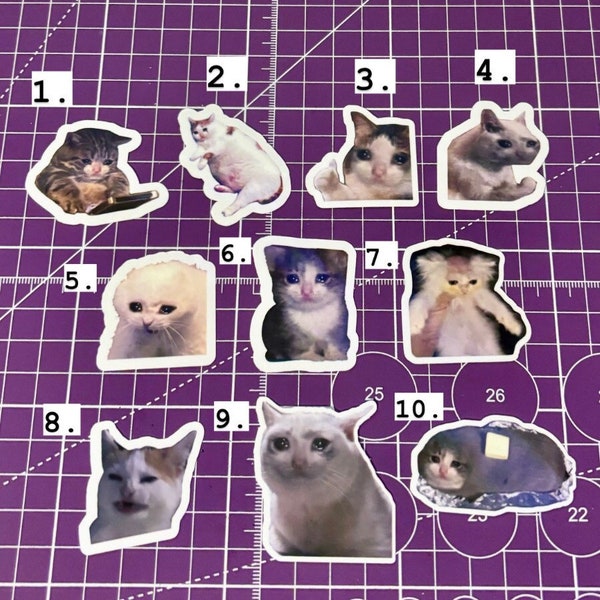 Sad Cat Meme Stickers , Crying Cat Meme Stickers , Meme Stickers , Cat Meme Stickers , Sad Cat Sticker , Cat Stickers , Meme Cat Sticker