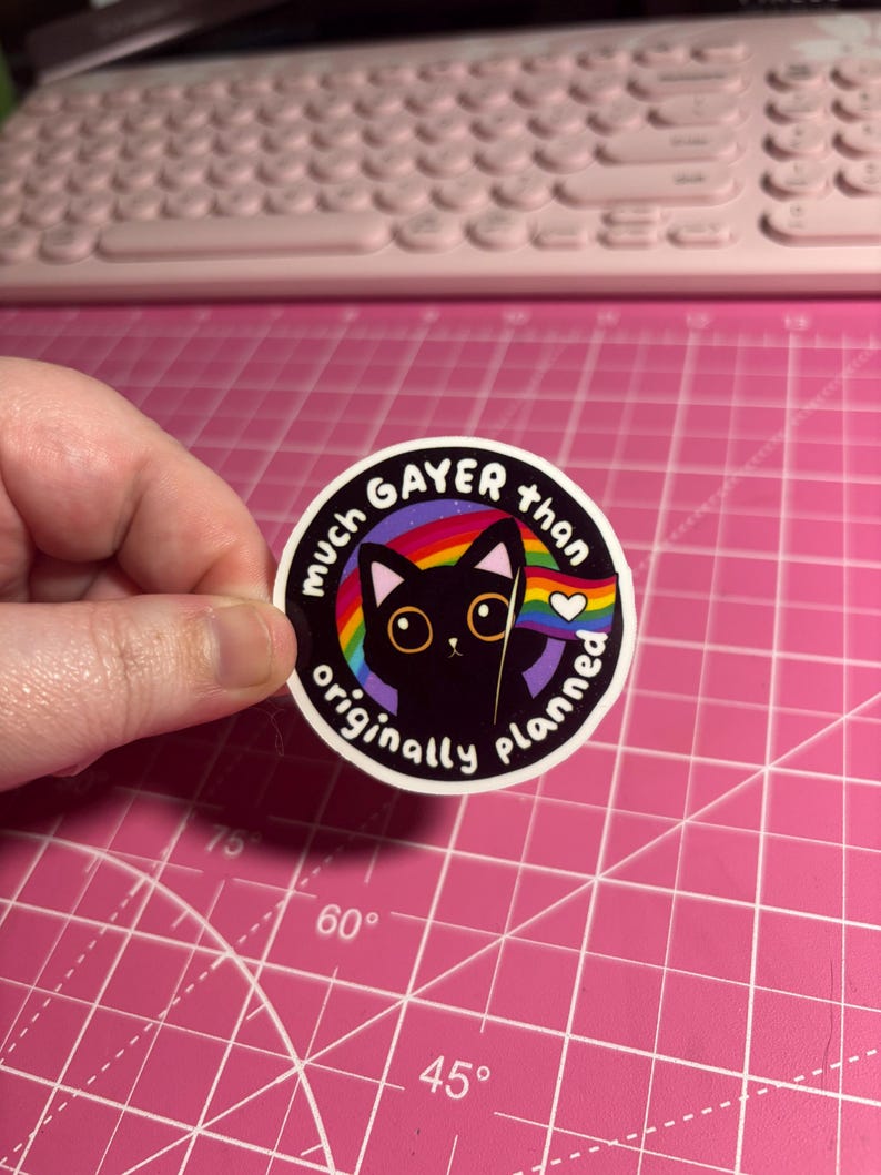 May include: A round sticker with a black cat illustration, rainbow, and the text "much GAYER than originally planned." The cat holds a rainbow flag with a heart. The sticker is held by a hand.