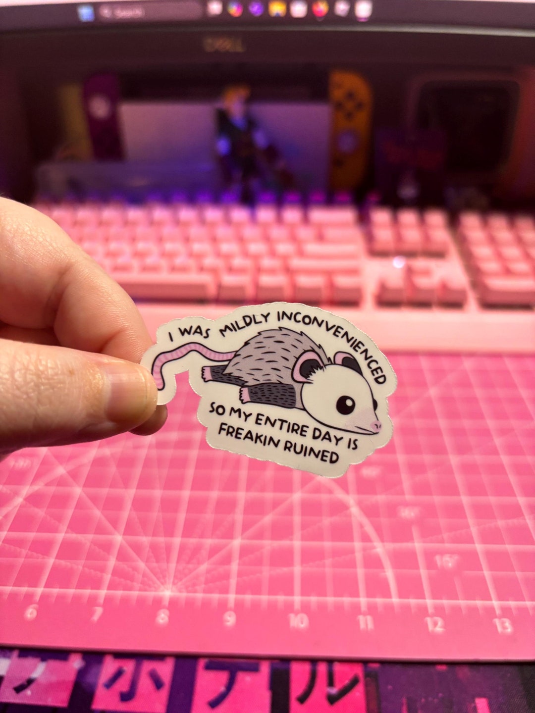 Opossum Sticker , Funny Opossum Sticker , Cute Opossum Sticker , Mental ...