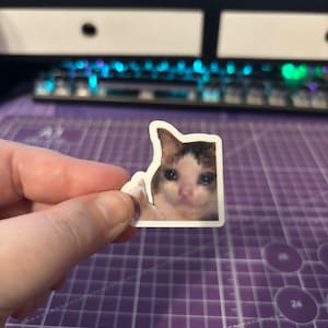 May include: A white sticker featuring a sad-faced cat with brown and white fur. The cat is giving a thumbs-up gesture. The sticker is held by a hand against a purple cutting mat.