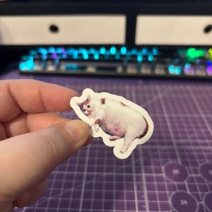 May include: A sticker featuring a meme of a sad-looking white cat with brown markings. The cat is depicted with a rounded body and a forlorn expression. The sticker is held against a purple cutting mat, with a keyboard in the background.