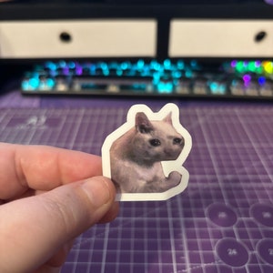 May include: A sticker featuring a sad-looking cat with a light brown coat. The cat is in a sitting position with its paws in front. The sticker is held by a hand against a purple cutting mat.