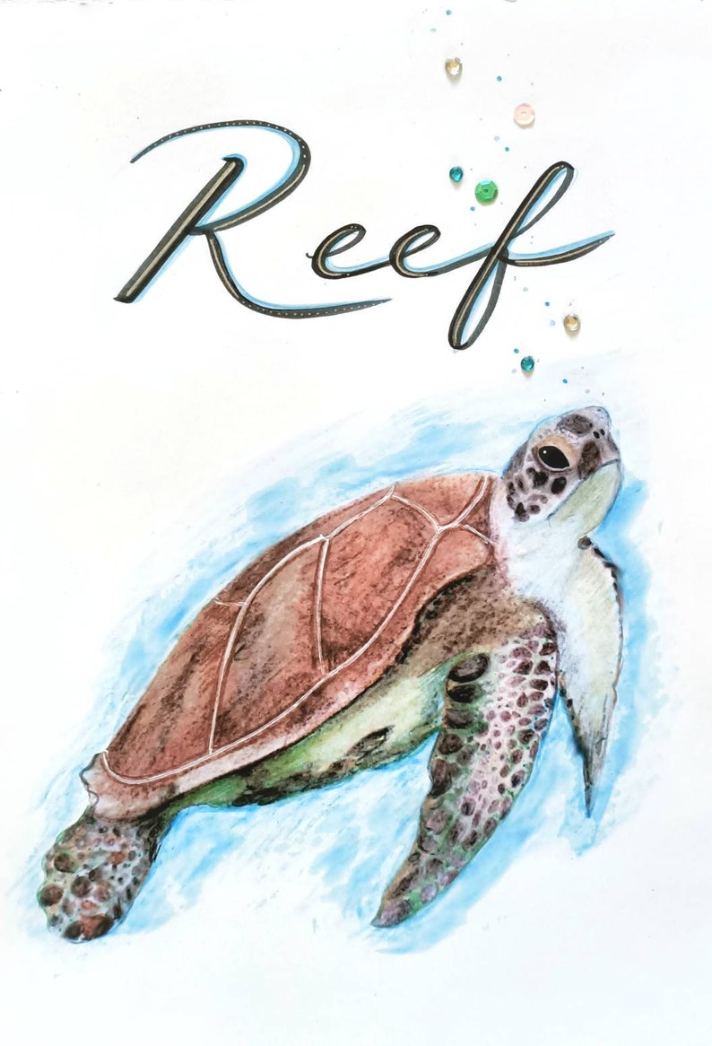 Personalised Turtle Print, Custom Name Print, Custom Turtle, Nursery Art, Kids Room Decor, Animal Art, Animal Sign, Turtles, Marine Animals image 4