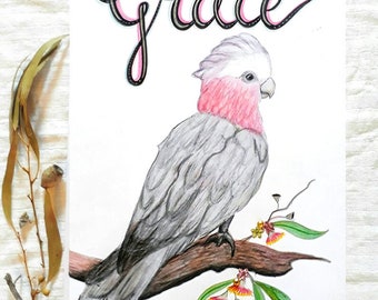 Impresión de nombre personalizado Galah, impresión personalizada de Galah, impresión de Galah personalizada, arte de Galah, impresión de aves, arte de la habitación para niños, arte de pared para niños