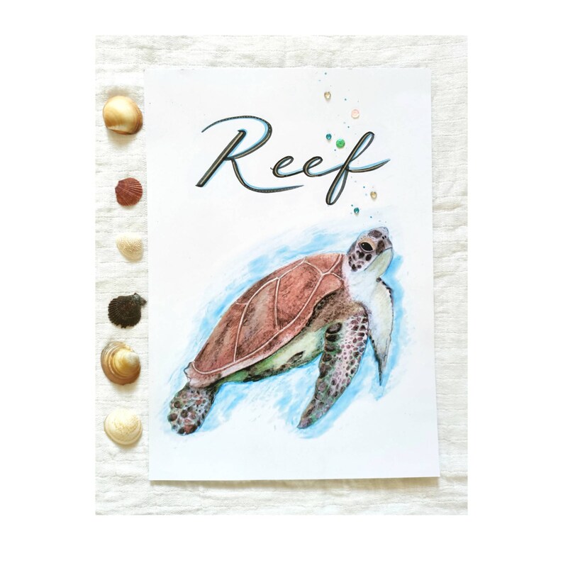 Personalised Turtle Print, Custom Name Print, Custom Turtle, Nursery Art, Kids Room Decor, Animal Art, Animal Sign, Turtles, Marine Animals image 1
