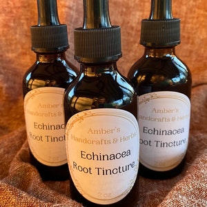 Echinacea Root Tincture