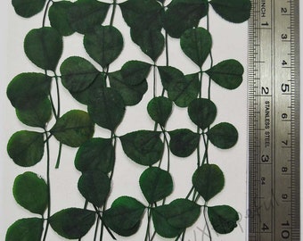 Real Dried Pressed flowers clovers - 16 pieces