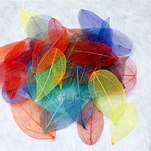 May include: A pile of colorful, translucent, dried leaves. The leaves are in shades of red, orange, yellow, green, blue, and purple. They are arranged in a random pattern, with some leaves overlapping others.