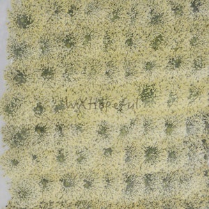 100 pieces Real Dried Pressed flowers White Queen Anne&#39;s Lace