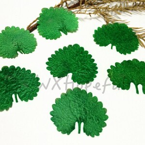 May include: Seven green felt leaves with scalloped edges. The leaves are arranged in a semi-circle on a white background.