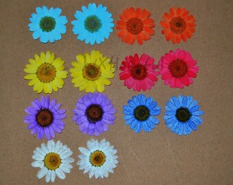 May include: Twelve pressed flowers in various colors, including blue, yellow, red, purple, and white. The flowers are arranged in three rows of four, on a brown background.