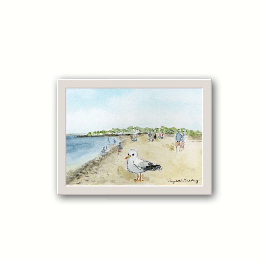 King of the Beach, Friendly Seagull - Marblehead MA, Giclee Print on ...