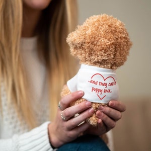 Personalised Poodle Soft Toy image 2