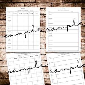 May include: Three printable education summary templates. The first template is a weekly planner with columns for Monday through Friday. The second template is a daily planner with a list of subjects including math, language arts, literature, science, history, social studies, art and creativity, life skills, electives, and other. The third template is a weekly planner with columns for Monday through Friday.