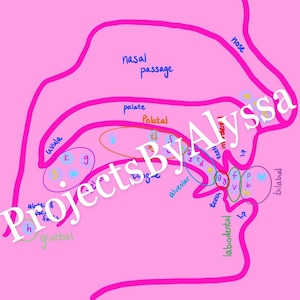 May include: A diagram of the human mouth showing the placement of the tongue and teeth for different sounds. The diagram includes labels for the uvula, palate, alveolar ridge, labiodental, bilabial, and teeth.