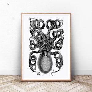 Octopus Print, Vintage Octopus Print, Nautical Print, Vintage Nautical Print, Octopus Wall Art, Kraken Wall Art, Scientific Art Print