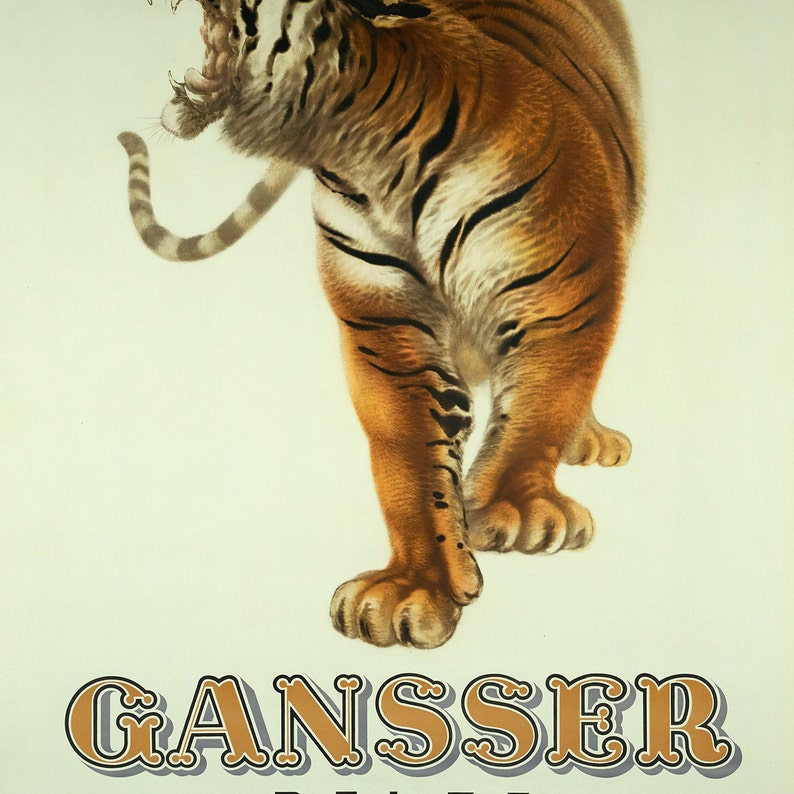 May include: Vintage poster featuring a roaring tiger with orange and black stripes. The tiger is depicted in a dynamic pose, with its mouth open and claws extended. The poster includes the name "GANSSER" in a decorative font.