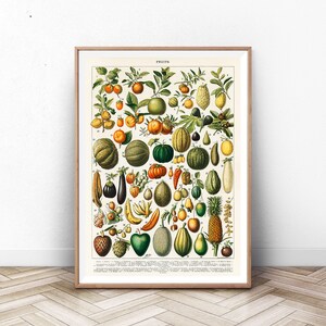Vintage botanische print 1909-Adolphe Millot poster Home decor botanische print romantische bloemen illustratie Science Cooking Art Print