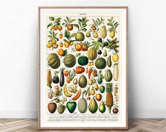May include: Vintage botanical illustration of fruits, featuring a variety of fruits, including melons, pears, bananas, pineapples, and citrus fruits. The illustration is in a vintage style with detailed drawings and labels for each fruit.