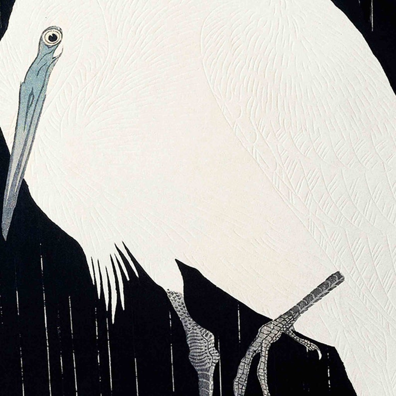 May include: A white egret with a long, thin beak and black legs stands on a black background. The bird's feathers are detailed and textured, and its eye is visible.