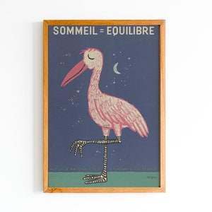 Flamingo Poster Print, Pink Wall Art, Bird Print, John James Audubon Print