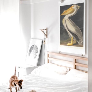 Audubon amerikansk vit pelikantryck: Vintage fågelillustration bild 2
