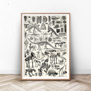 Dinosaur Print, Dinosaurs Wall Art, Dinosaur print, dinosaur present, dinosaur wall art, dinosaur poster, jurassic poster print