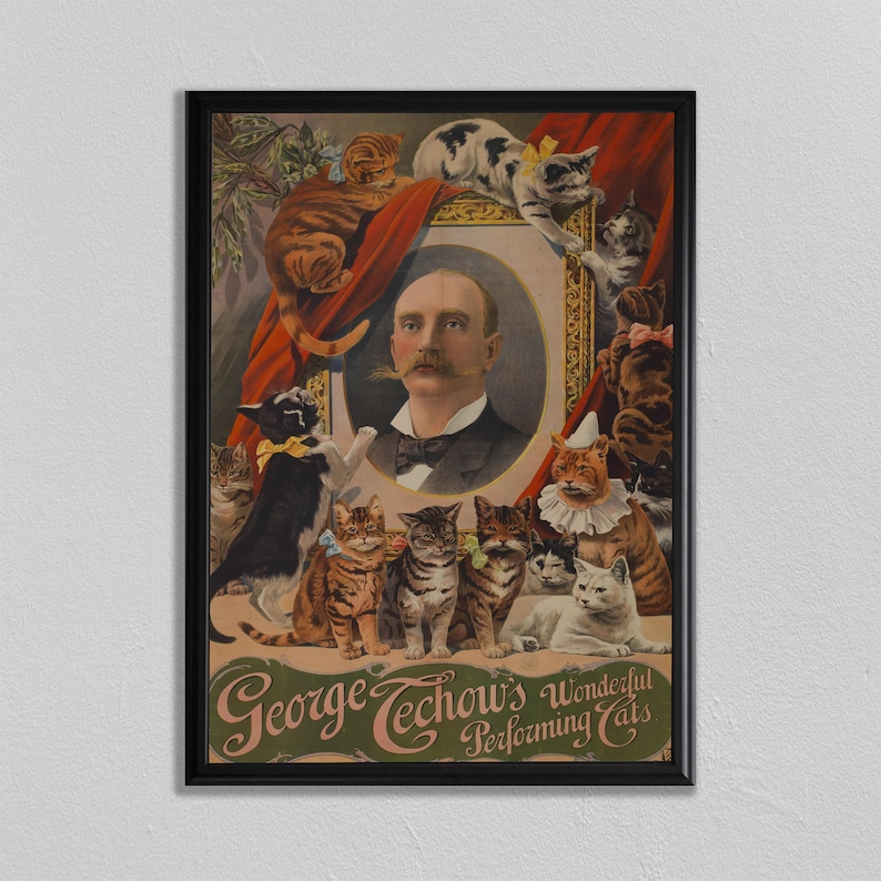 cartel del gato, cirque, impresión acróbata, circo cartel circo decoración, arte de la pared, cartel del circo de la vendimia, decoración del hogar, impresión del cartel del circo imagen 1