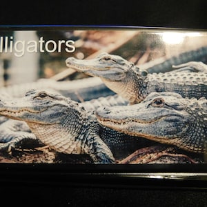 Elongated / Pressed Penny Souvenir Book / Album .. Alligators