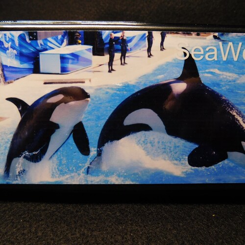 Elongated / Pressed Penny Souvenir Book / Album Disneyland Etsy