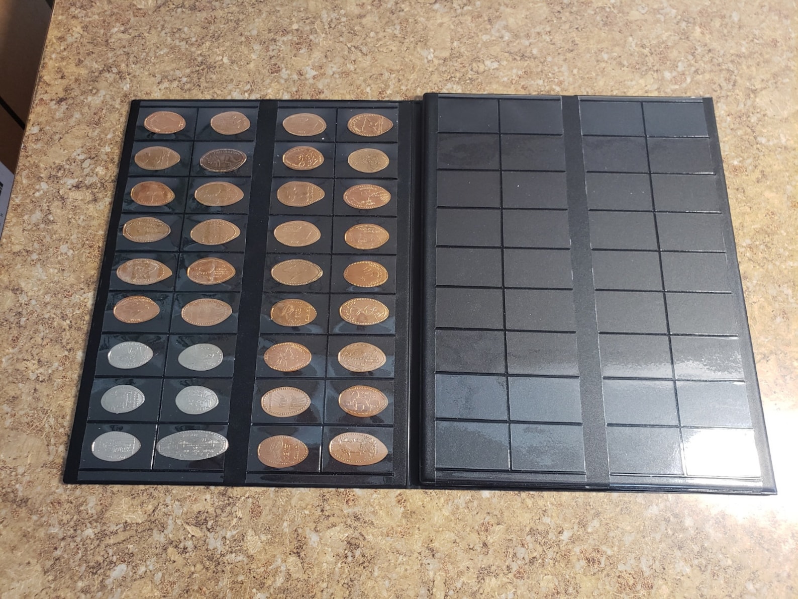 Large Elongated / Pressed Penny Book Holds 144 Coins Etsy