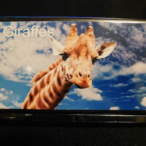 Elongated / Pressed Penny Souvenir Book / Album .. Giraffes
