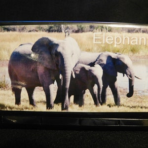 Elongated / Pressed Penny Souvenir Book / Album .. Elephants