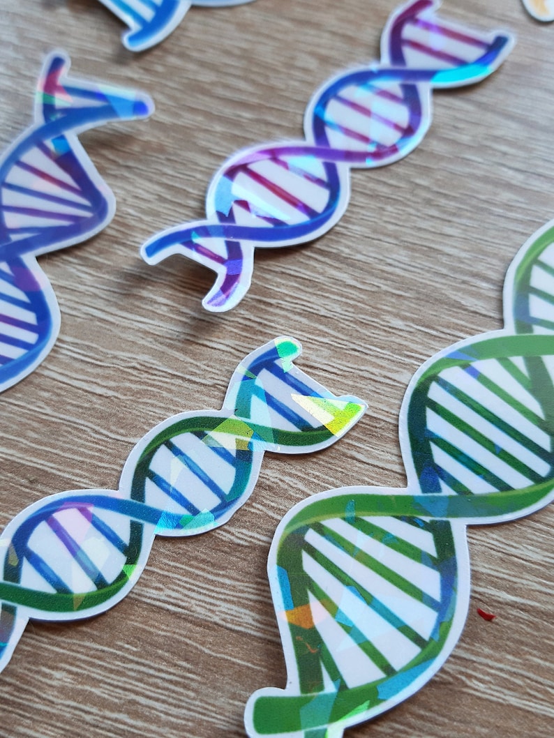 Vinyl Sticker Set DNA, Holographic - Etsy
