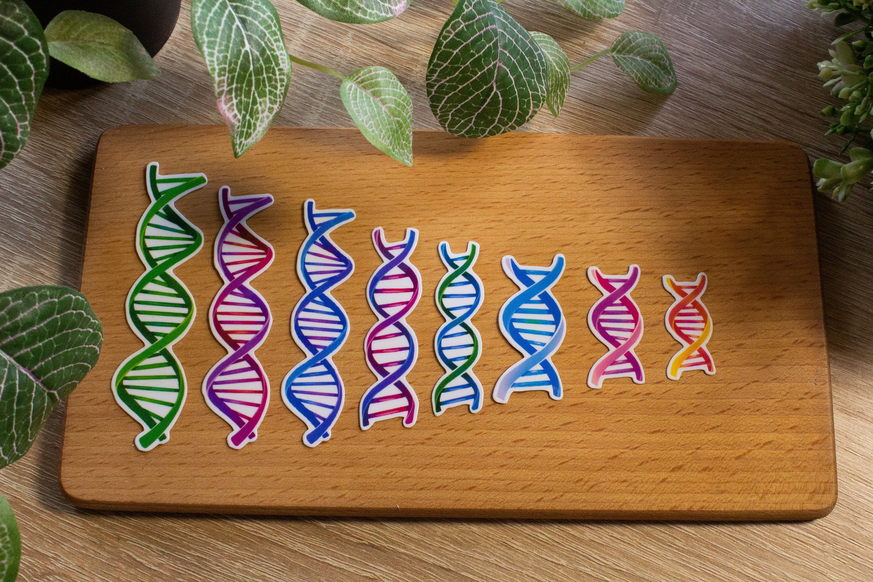 Vinyl Sticker Set DNA, Holographic - Etsy