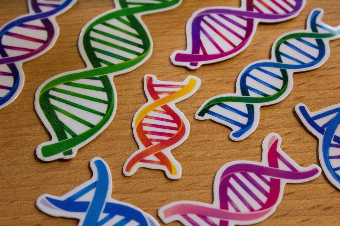 Vinyl Sticker Set DNA, Holographic - Etsy