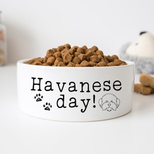 Havanese Dog Bowl Havanese Day Funny Dog Bowl Havanese Puppy Ceramic Dog Bowl 6&quot; or 7&quot;