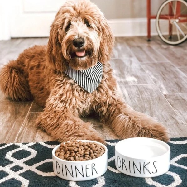 Heavy Ceramic Dog Bowl: Dinner & Drinks Pet Food and Water Bowl