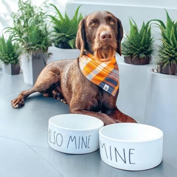 Heavy Ceramic Pet Bowl Set: Funny 'Mine' and 'Also Mine' Dog Cat Bowls