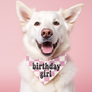 Checkered Birthday Girl Dog Bandana Pet Birthday Party Bandana Dog Scarf