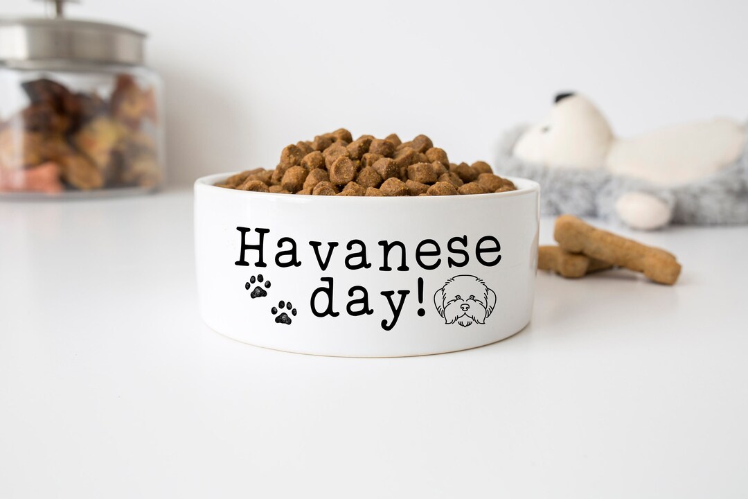 Havanese Dog Bowl Havanese Day Funny Dog Bowl Havanese Puppy Ceramic