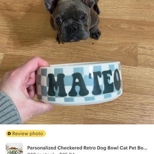 May include: A personalized dog bowl with the name "MATEO" in black letters. The bowl has a retro checkerboard pattern in light blue and white. A gray French Bulldog puppy is in the background.