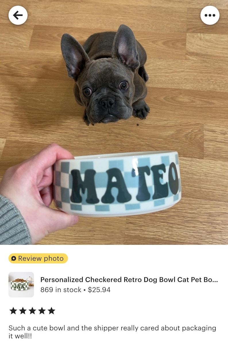 May include: A personalized dog bowl with the name "MATEO" in black letters. The bowl has a retro checkerboard pattern in light blue and white. A gray French Bulldog puppy is in the background.