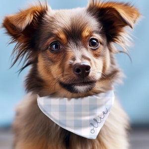 Blue Plaid Custom Boy Dog Bandana With Name Personalized Gingham Dog Scarf