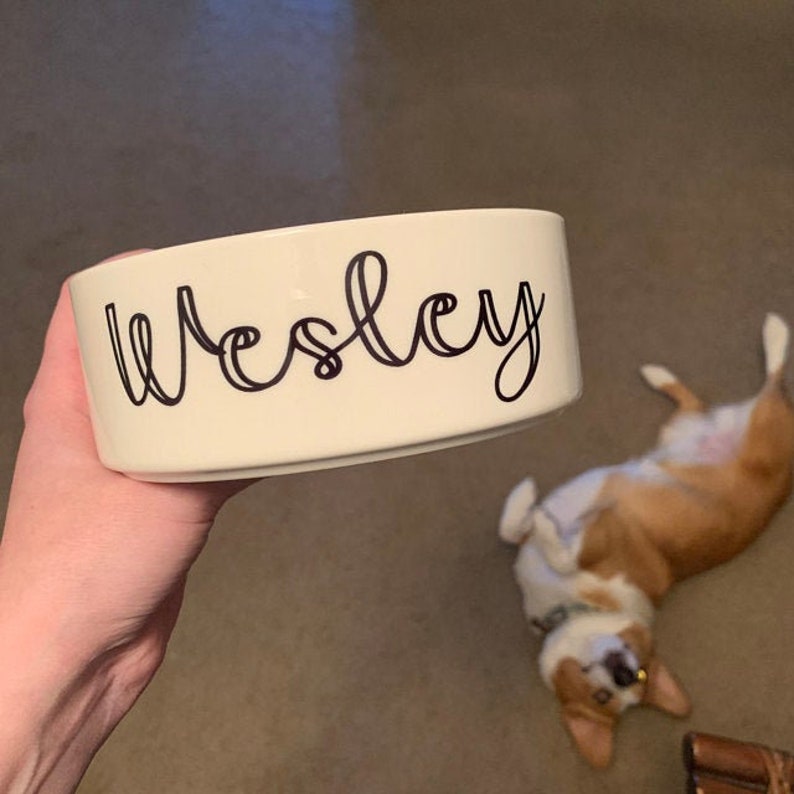 Personalized Dog Bowl Cat Pet Bowl with Name Gift for Pet Food Bowl Water Bowl Small Cat Bowls Ceramic 6 or 7 White 1 image 7