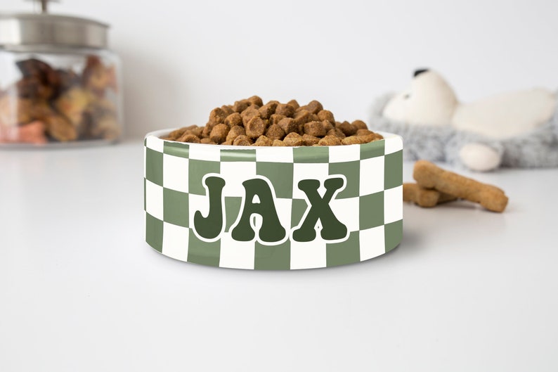 May include: A white ceramic pet bowl with a green and white checkered pattern. The bowl is filled with brown pet food and has the name "JAX" in a green retro font. The bowl is designed for pets.