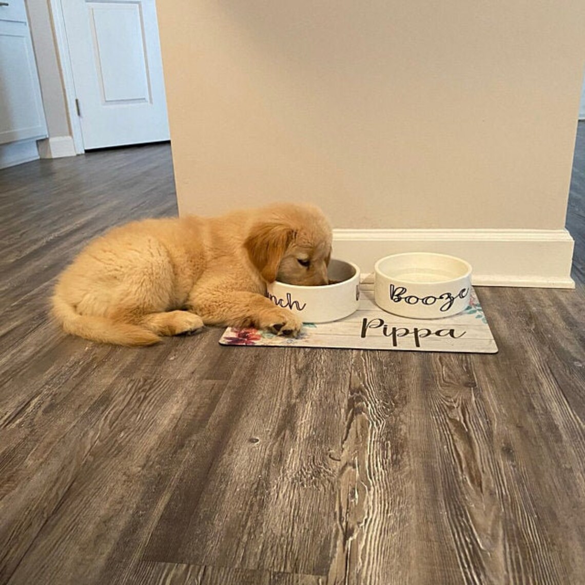 Havanese Dog Bowl Havanese Day Funny Dog Bowl Havanese Puppy Etsy