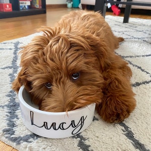 Personalized Dog Bowl Cat Pet Bowl with Name Gift for Pet Food Bowl Water Bowl Small Cat Bowls Ceramic 6" or 7" White 1