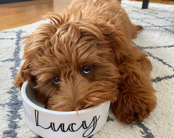 Personalized Dog Bowl Cat Pet Bowl with Name Gift for Pet Food Bowl Water Bowl Small Cat Bowls Ceramic 6&quot; or 7&quot; White 1